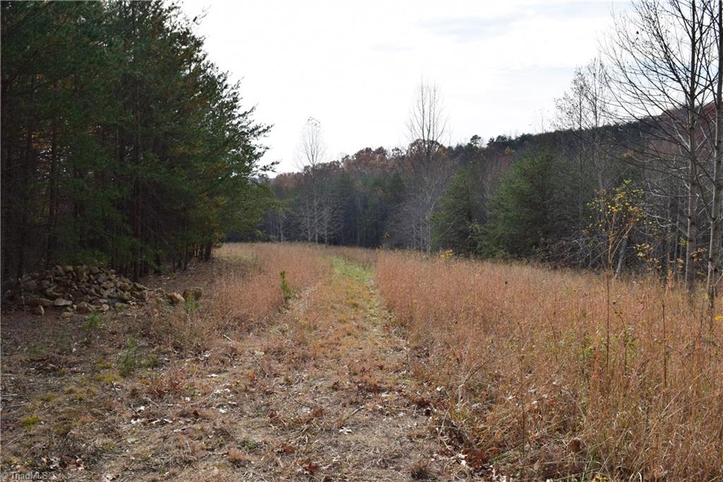 0 Holt Road Mount Airy, NC 27030 - Photo 14 of 30