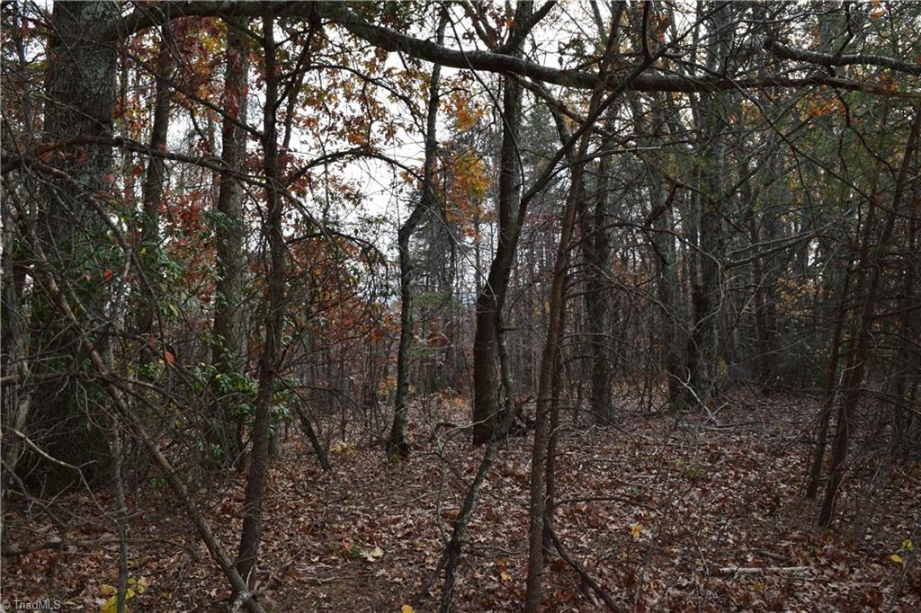 0 Holt Road Mount Airy, NC 27030 - Photo 15 of 30