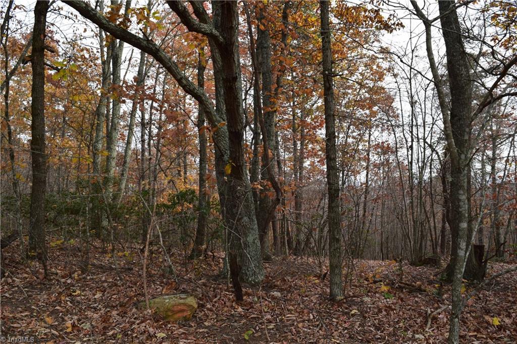 0 Holt Road Mount Airy, NC 27030 - Photo 16 of 30