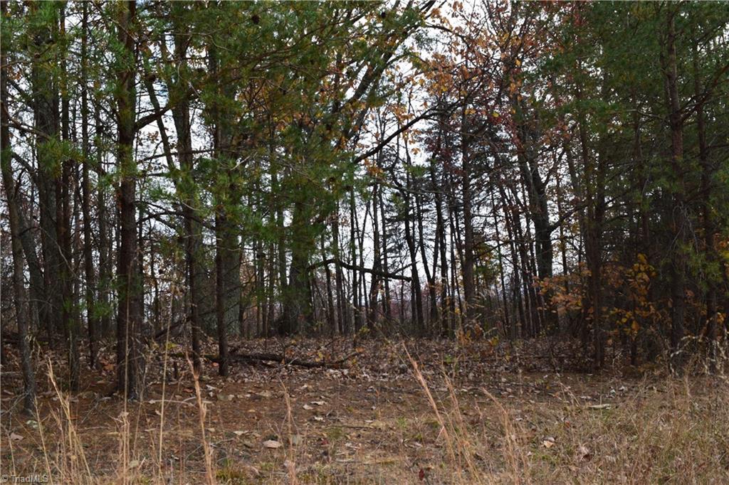 0 Holt Road Mount Airy, NC 27030 - Photo 17 of 30