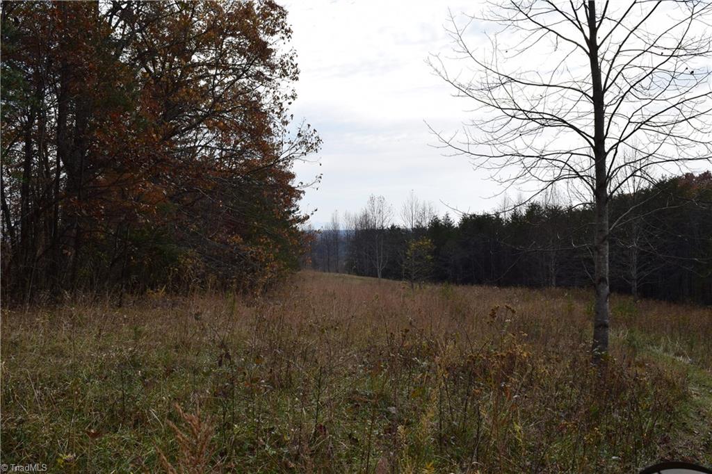 0 Holt Road Mount Airy, NC 27030 - Photo 18 of 30