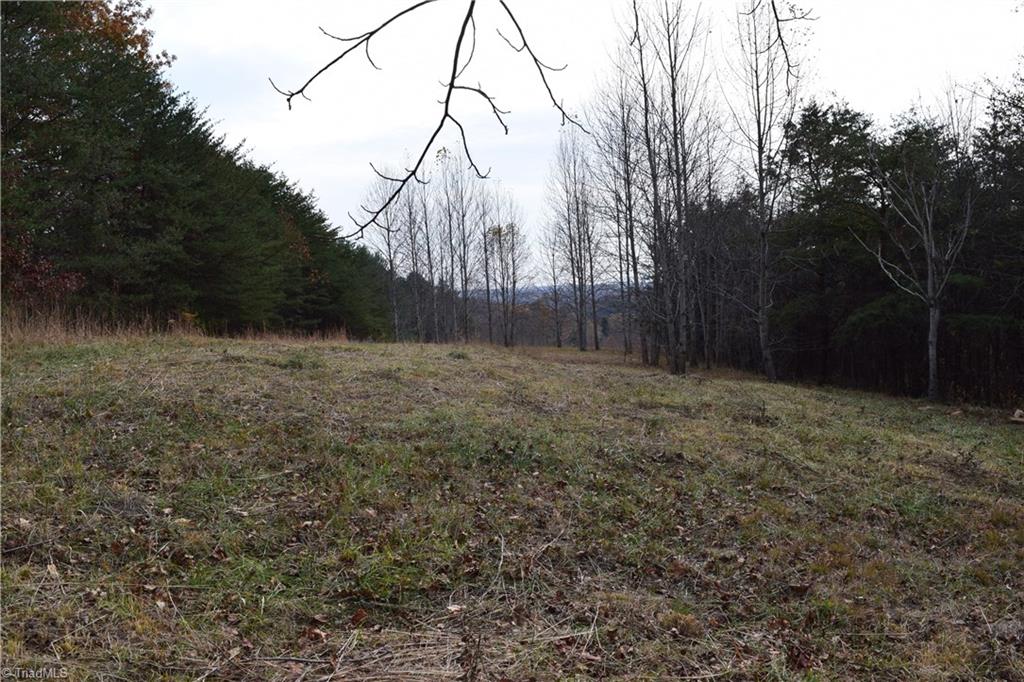 0 Holt Road Mount Airy, NC 27030 - Photo 19 of 30