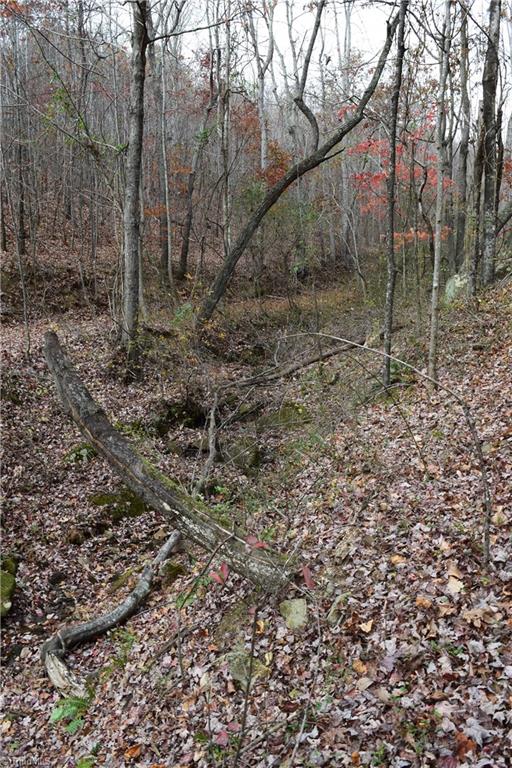 0 Holt Road Mount Airy, NC 27030 - Photo 20 of 30