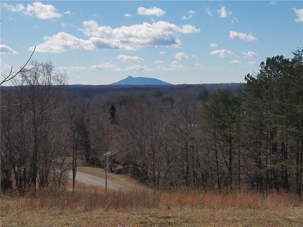 0 Holt Road Mount Airy, NC 27030 - Photo 3 of 30