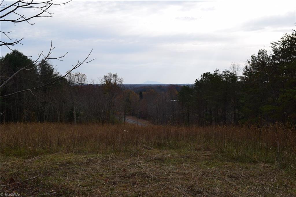 0 Holt Road Mount Airy, NC 27030 - Photo 21 of 30