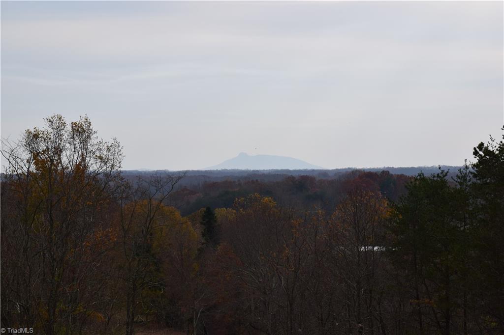 0 Holt Road Mount Airy, NC 27030 - Photo 22 of 30