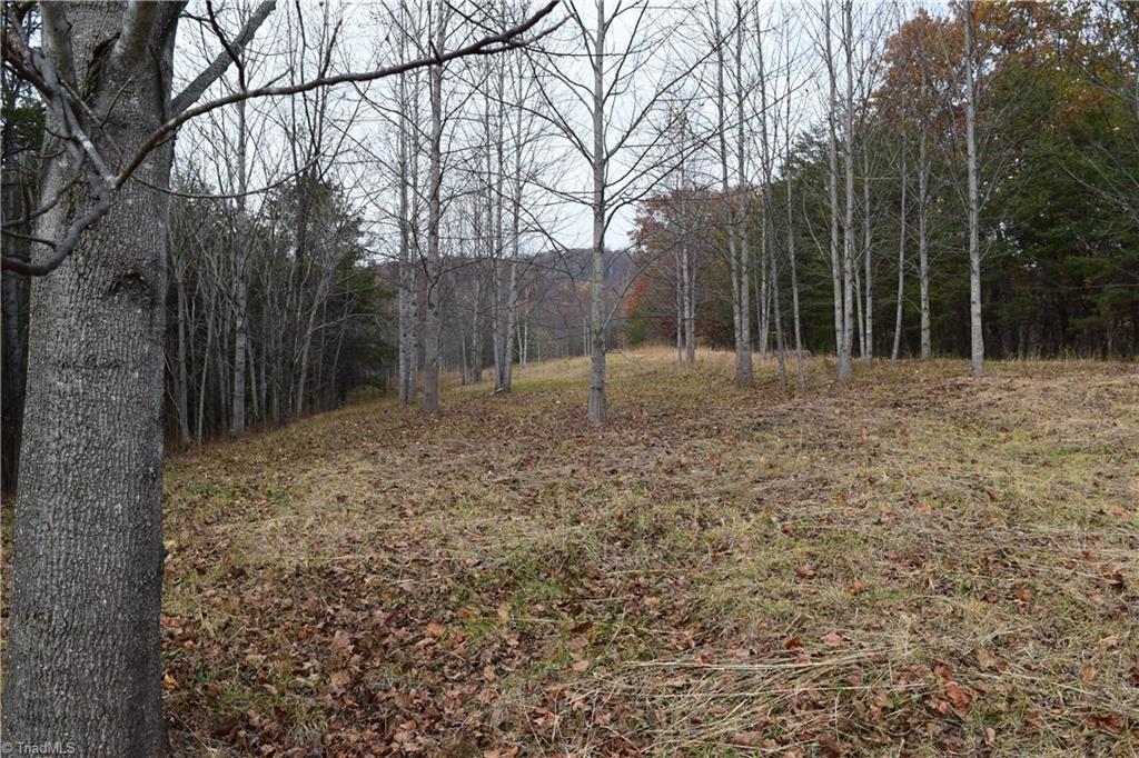 0 Holt Road Mount Airy, NC 27030 - Photo 23 of 30