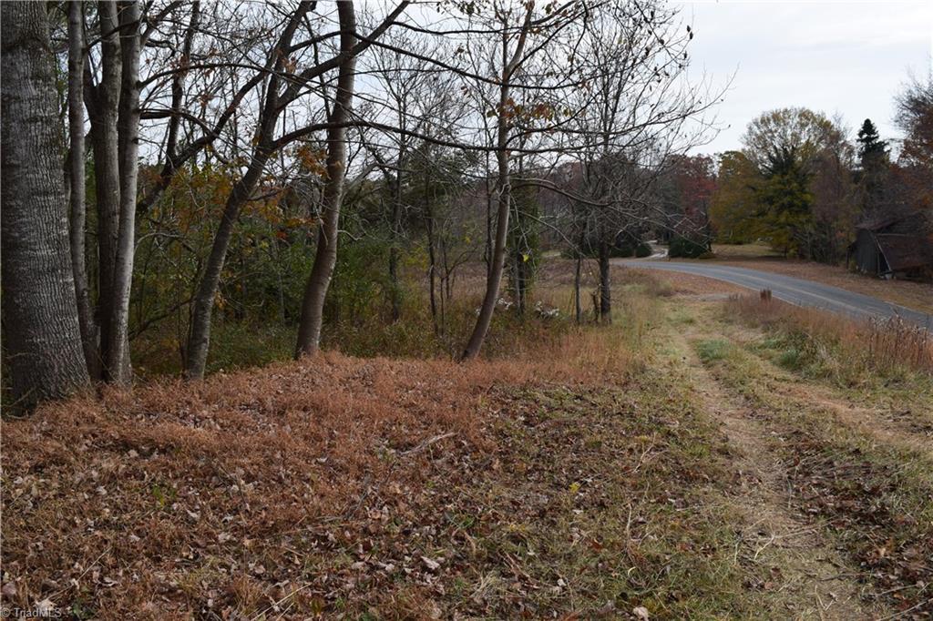 0 Holt Road Mount Airy, NC 27030 - Photo 24 of 30