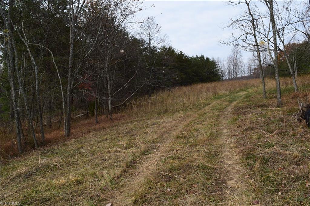 0 Holt Road Mount Airy, NC 27030 - Photo 25 of 30