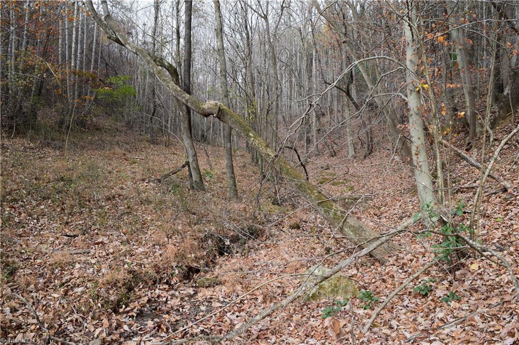 0 Holt Road Mount Airy, NC 27030 - Photo 26 of 30