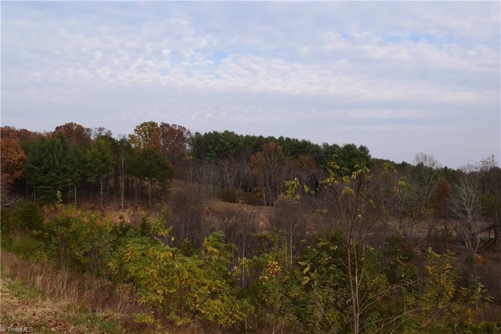 0 Holt Road Mount Airy, NC 27030 - Photo 27 of 30
