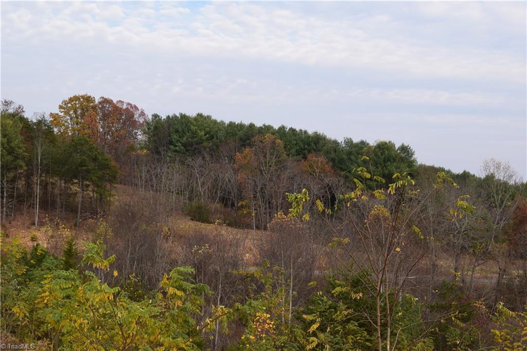 0 Holt Road Mount Airy, NC 27030 - Photo 28 of 30