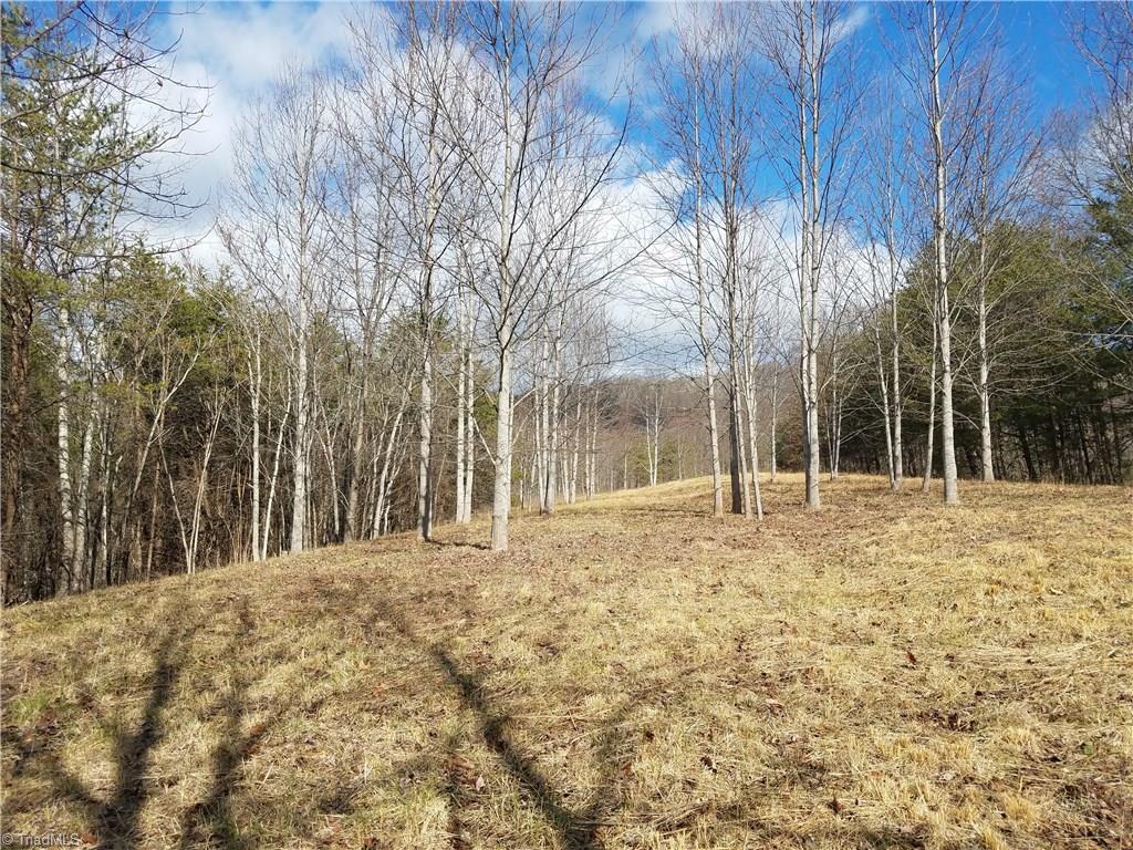 0 Holt Road Mount Airy, NC 27030 - Photo 4 of 30