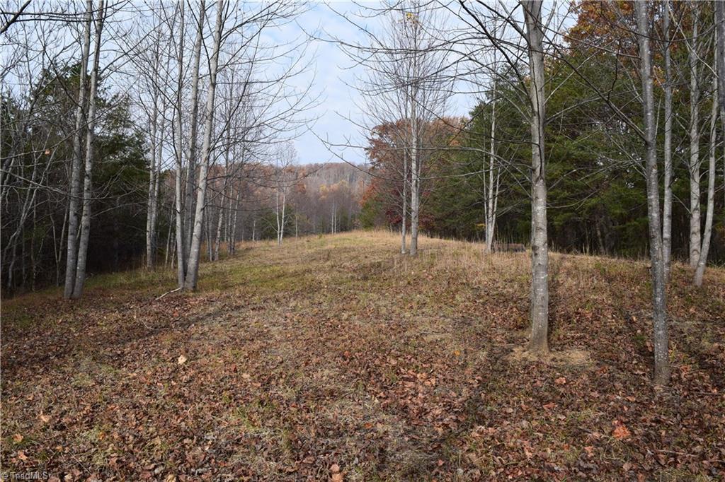 0 Holt Road Mount Airy, NC 27030 - Photo 5 of 30