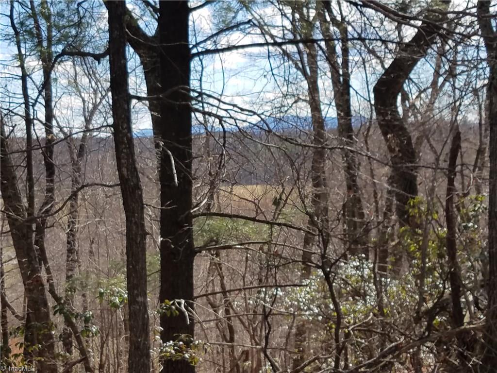 0 Holt Road Mount Airy, NC 27030 - Photo 6 of 30