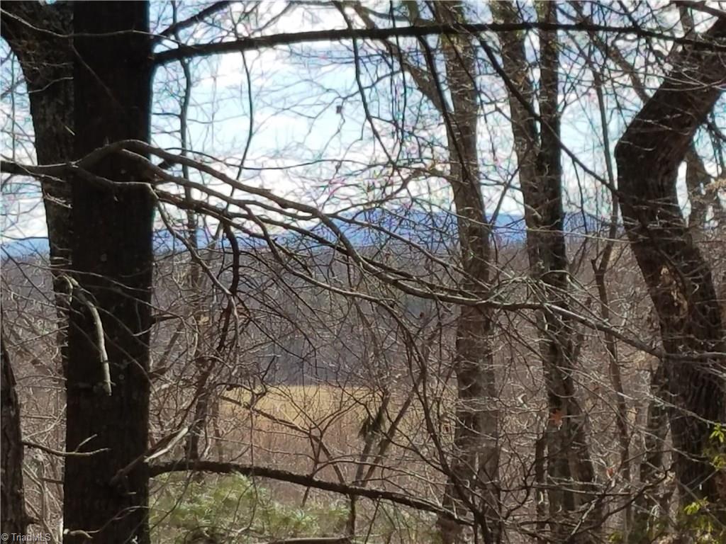 0 Holt Road Mount Airy, NC 27030 - Photo 7 of 30