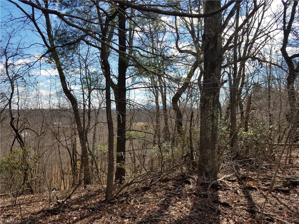 0 Holt Road Mount Airy, NC 27030 - Photo 8 of 30