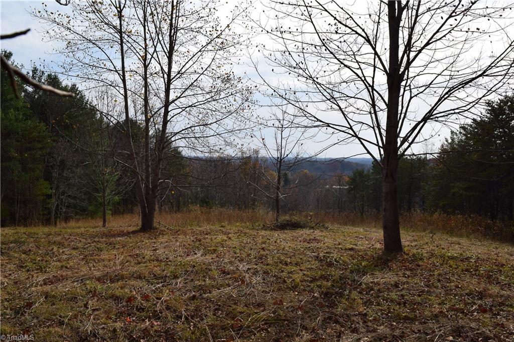 0 Holt Road Mount Airy, NC 27030 - Photo 10 of 30