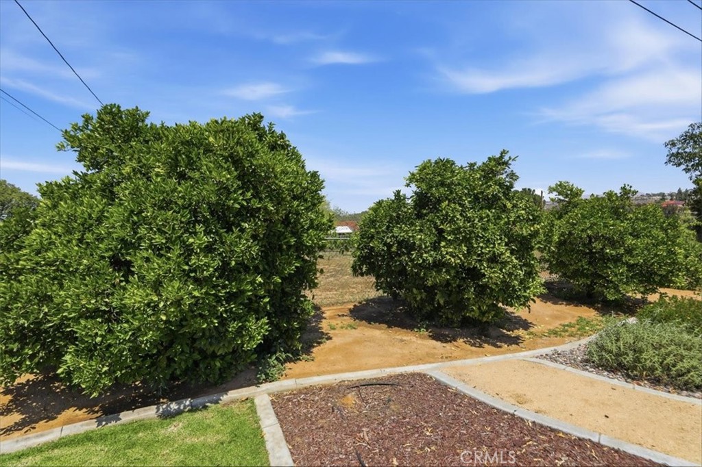 16540 Wagon Wheel Drive Riverside, CA 92506 - Photo 52 of 57