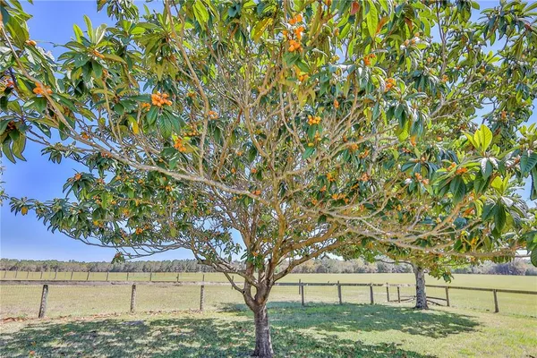 $1,200,000 | 13496 South Oakview Avenue, Floral City, FL 34436