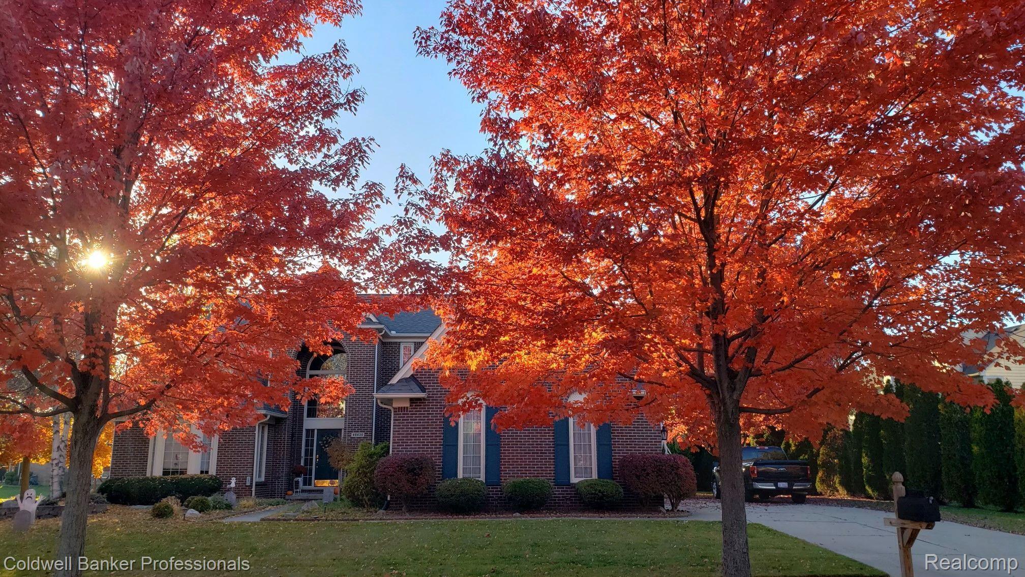 46430 Inverness Road Canton, MI 48188 - Photo 47 of 47 Red Maple Trees Adorn Front View in Autumn