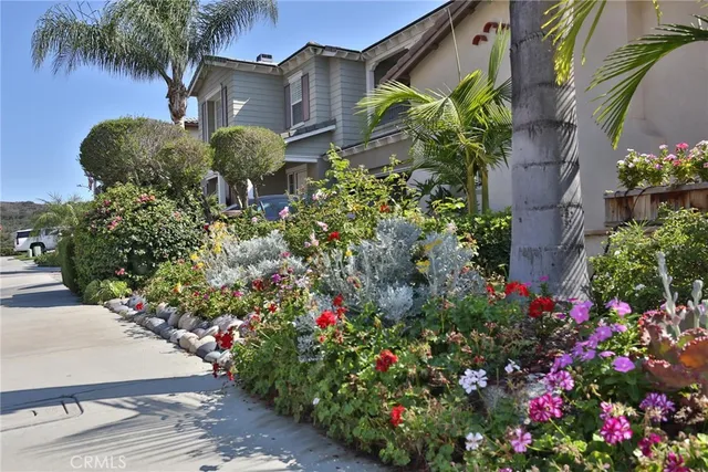 a view of a garden with flowers and flowers