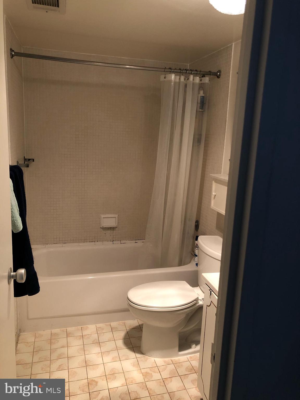 1250 4th Street Southwest, Unit W808 Washington, DC 20024 - Photo 20 of 28 Large Full Bathroom