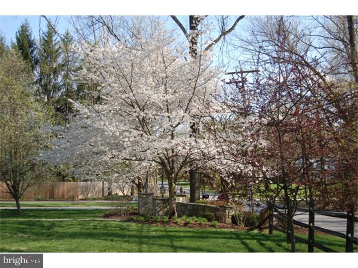 417 Leopard Road Berwyn, PA 19312 - Photo 2 of 25 View