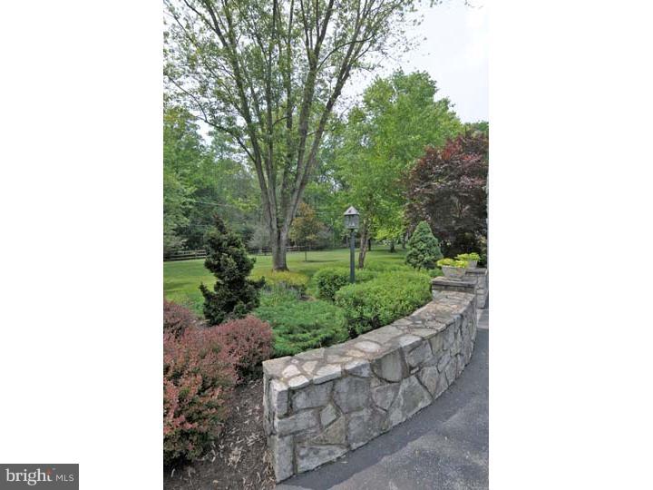 417 Leopard Road Berwyn, PA 19312 - Photo 24 of 25 Patio