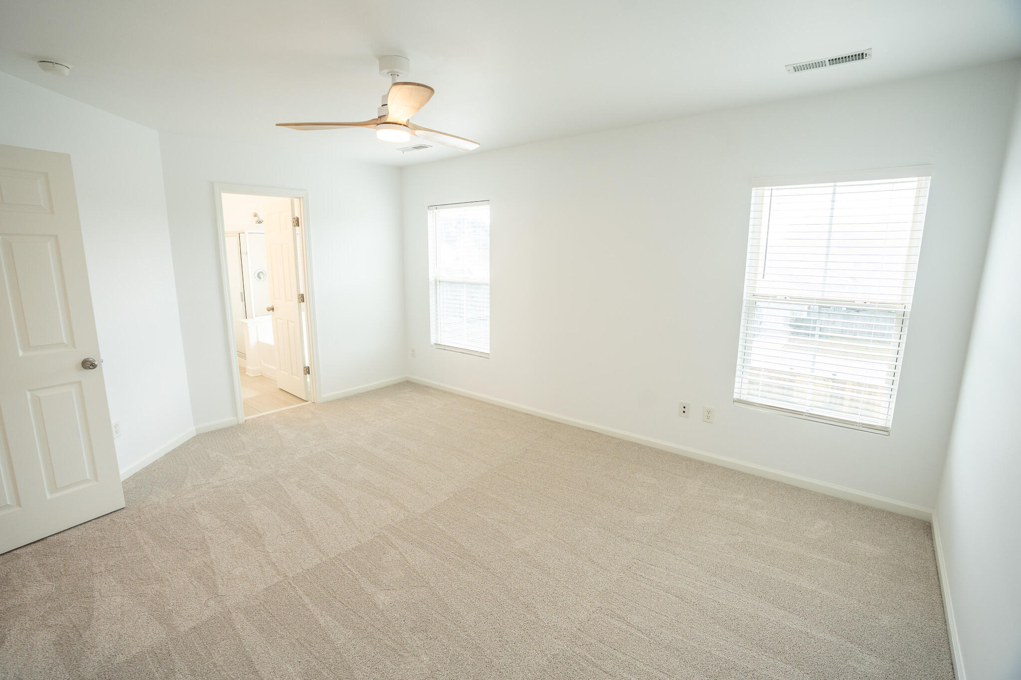 243 Cameron Street Summerville, SC 29486 - Photo 24 of 46 MASTER BEDROOM