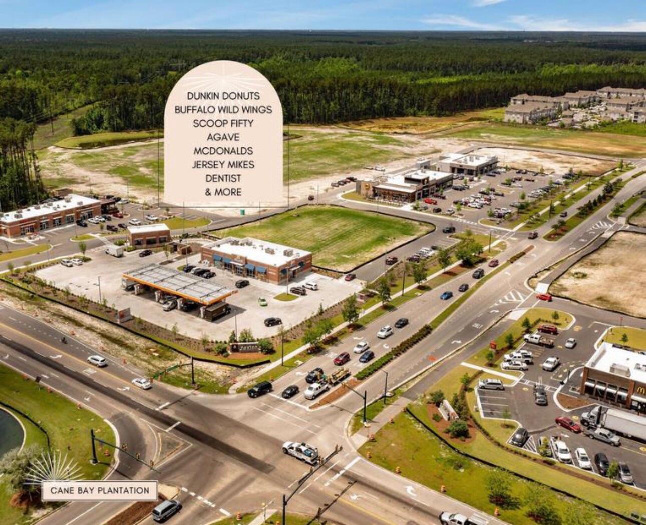 243 Cameron Street Summerville, SC 29486 - Photo 45 of 46 SHOPPING