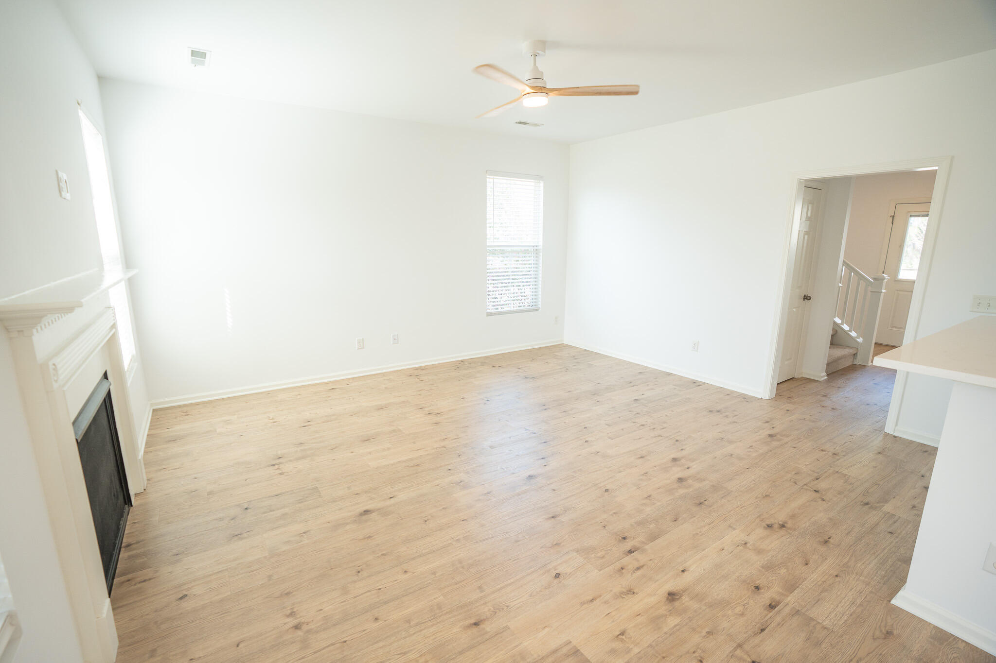 243 Cameron Street Summerville, SC 29486 - Photo 8 of 46 FAMILY ROOM