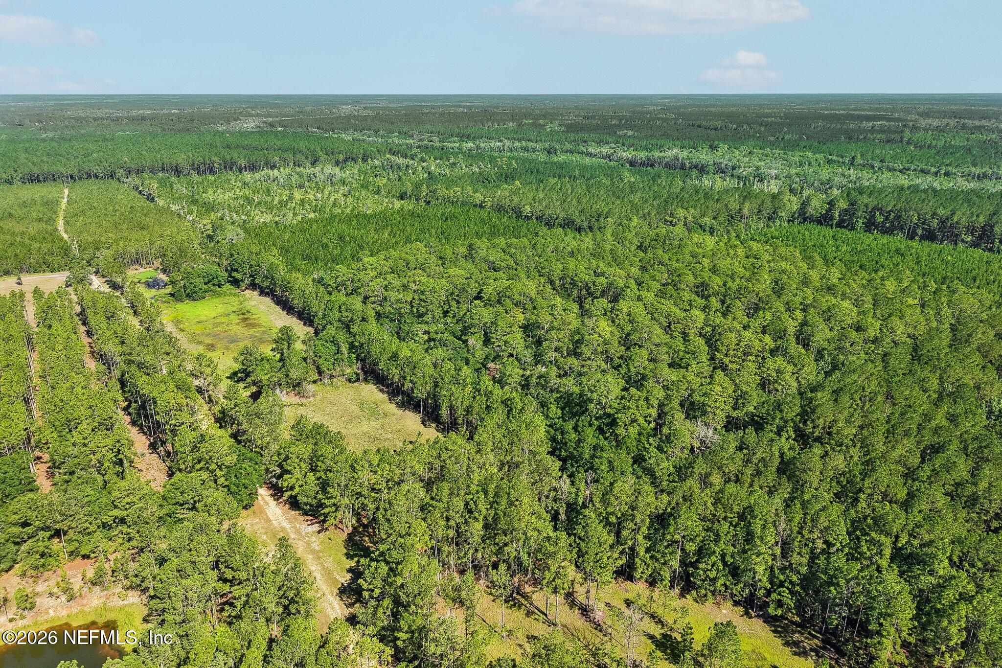 0 Coopers Neck Road Hilliard, FL 32046 - Photo 8 of 15 6-web-or-mls-Coopers Neck Rd-S2506-006