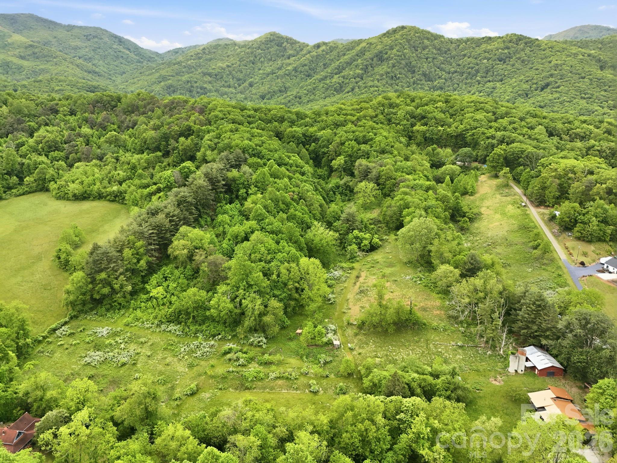 250 Potato Branch Road Leicester, NC 28748 - Photo 45 of 48