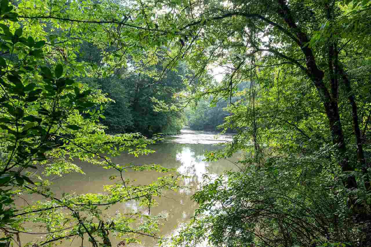 1041 Riverwalk Point Bishop, GA 30621 - Photo 1 of 1