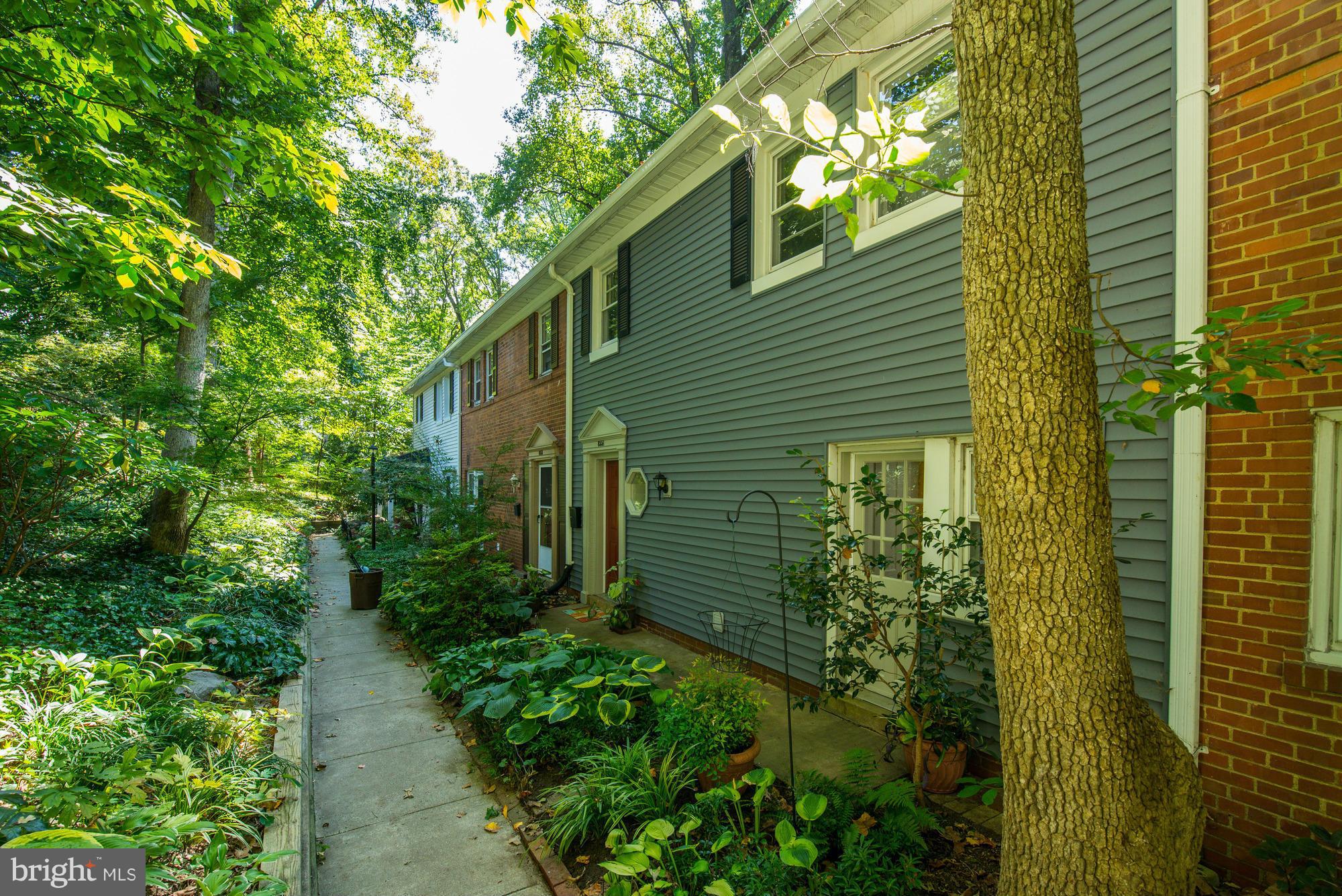8551 Geren Road, Unit 248 Silver Spring, MD 20901 - Photo 2 of 21 a view of a back yard