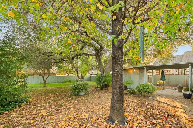 a backyard of a house with table and chairs plants and large trees