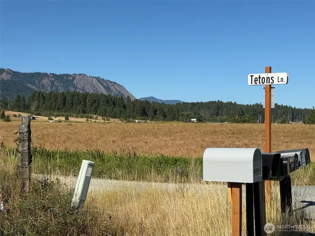 a view of lake and tree