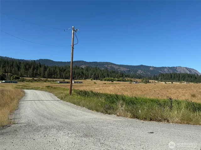 a view of a large yard with lots of bushes