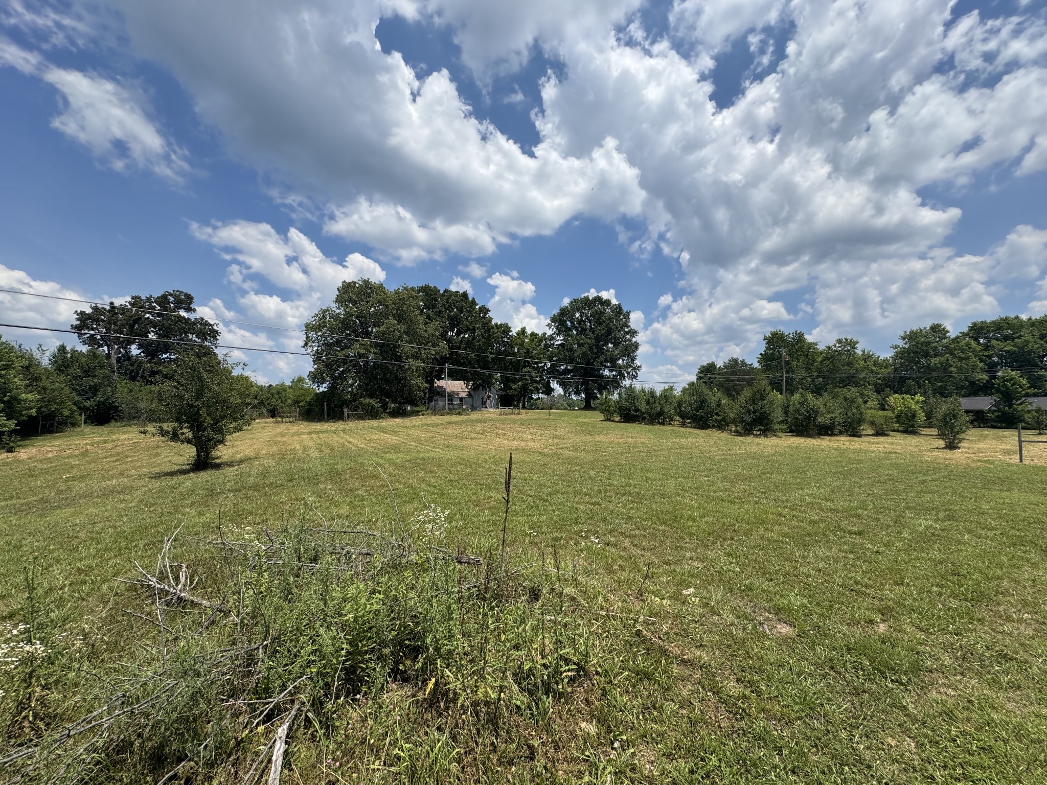 3 Pine Bluff Road Rock Island, TN 38581 - Photo 8 of 9 Gallery Image 8