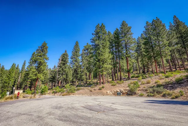 a view of a road with a trees