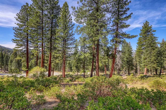 a view of outdoor space with trees