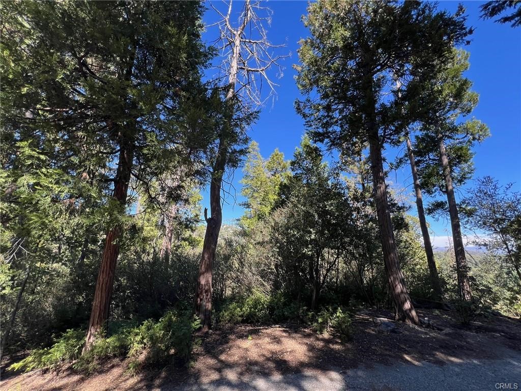 27530 North Bay Road Lake Arrowhead, CA 92352 - Photo 5 of 7