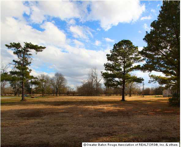3 Osten Beard Road Darrow, LA 70725 - Photo 3 of 6 Gallery Image 3