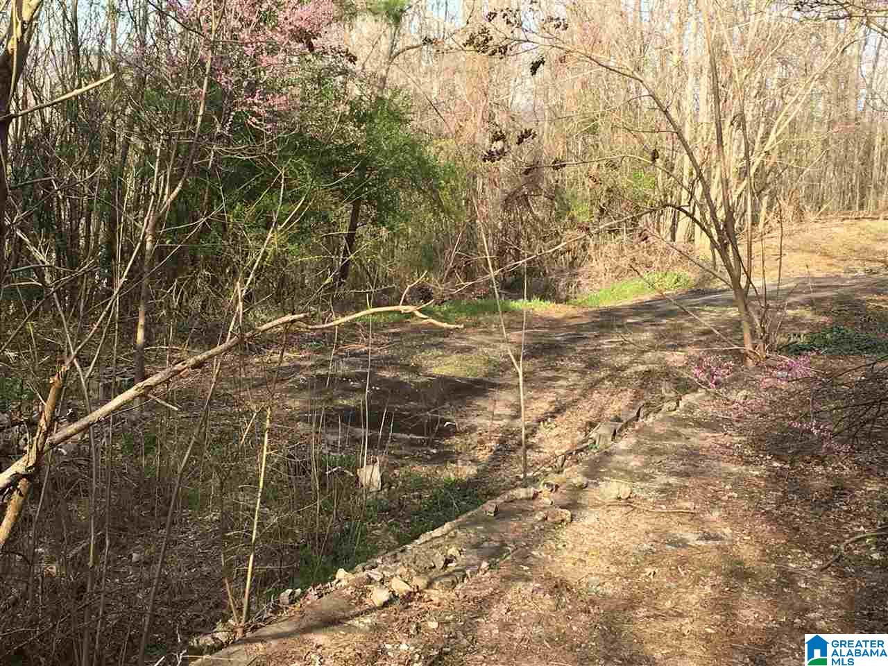 230 County Line Road Oxford, AL 36203 - Photo 9 of 50