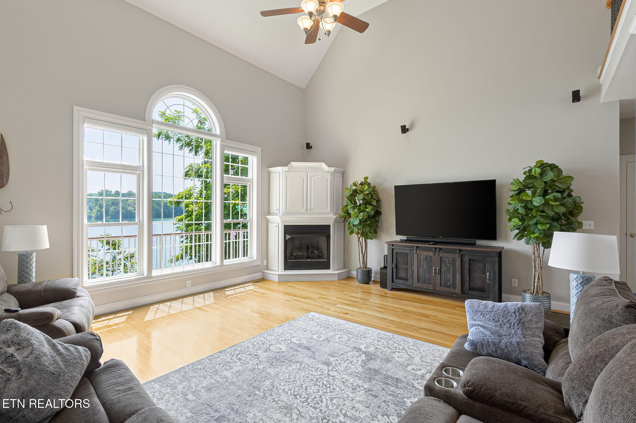 231 Holiday Point Drive Spring City, TN 37381 - Photo 14 of 60 14-web-or-mls-014--FULL