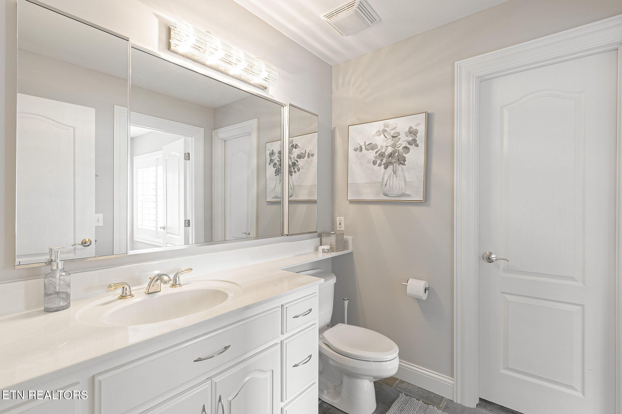 231 Holiday Point Drive Spring City, TN 37381 - Photo 33 of 60 42-web-or-mls-042--FULL