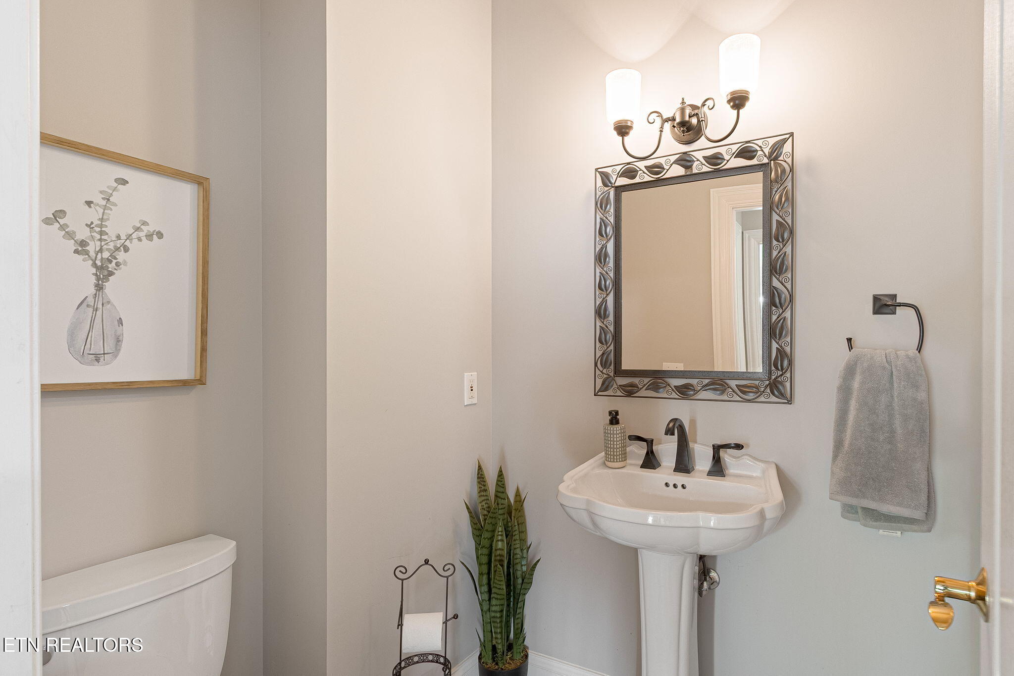 231 Holiday Point Drive Spring City, TN 37381 - Photo 39 of 60 11-web-or-mls-011--FULL