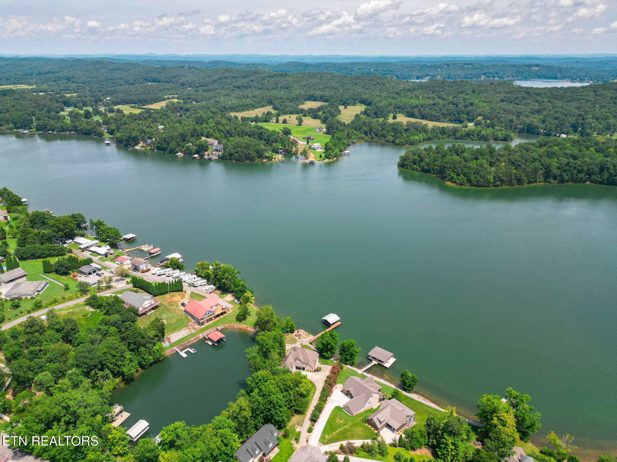 231 Holiday Point Drive Spring City, TN 37381 - Photo 58 of 60 81-web-or-mls-081--FULL