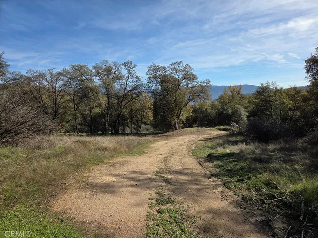 a view of a yard with trees in the background